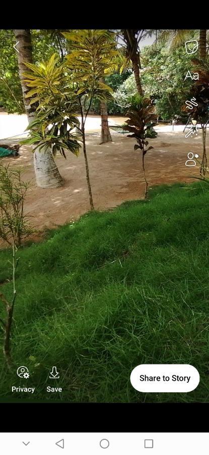 Busua Scorpion Hill Lodge מראה חיצוני תמונה
