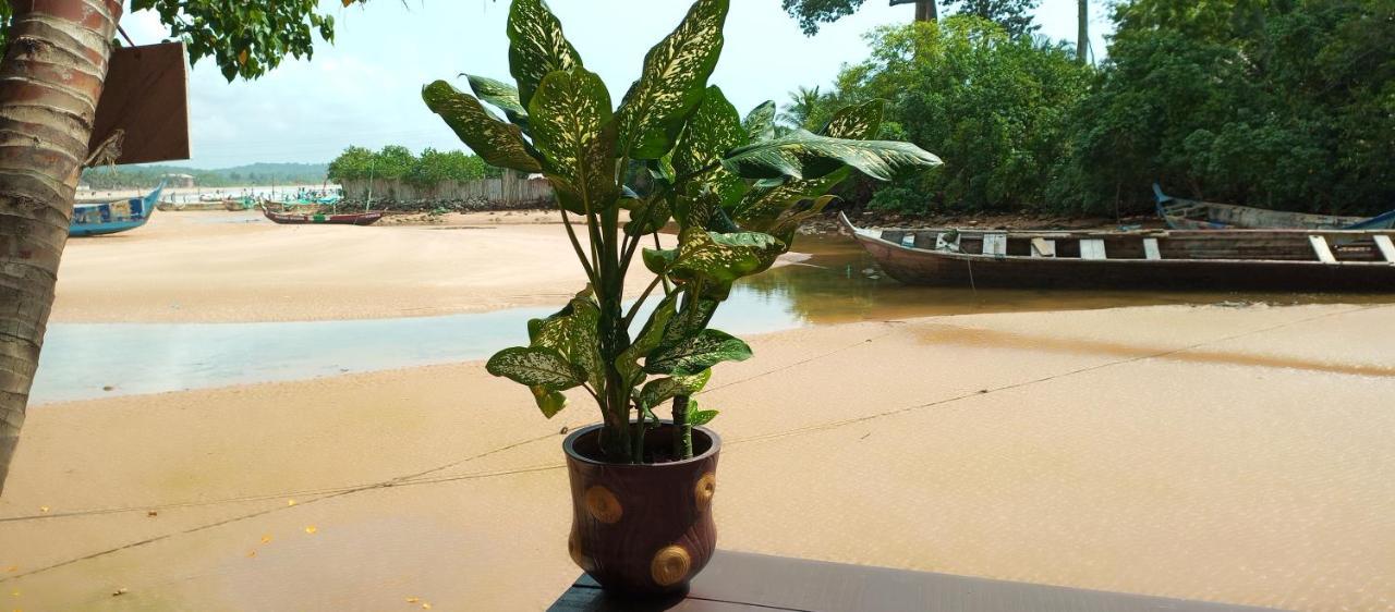 Busua Scorpion Hill Lodge חדר תמונה