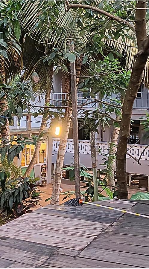 Busua Scorpion Hill Lodge מראה חיצוני תמונה