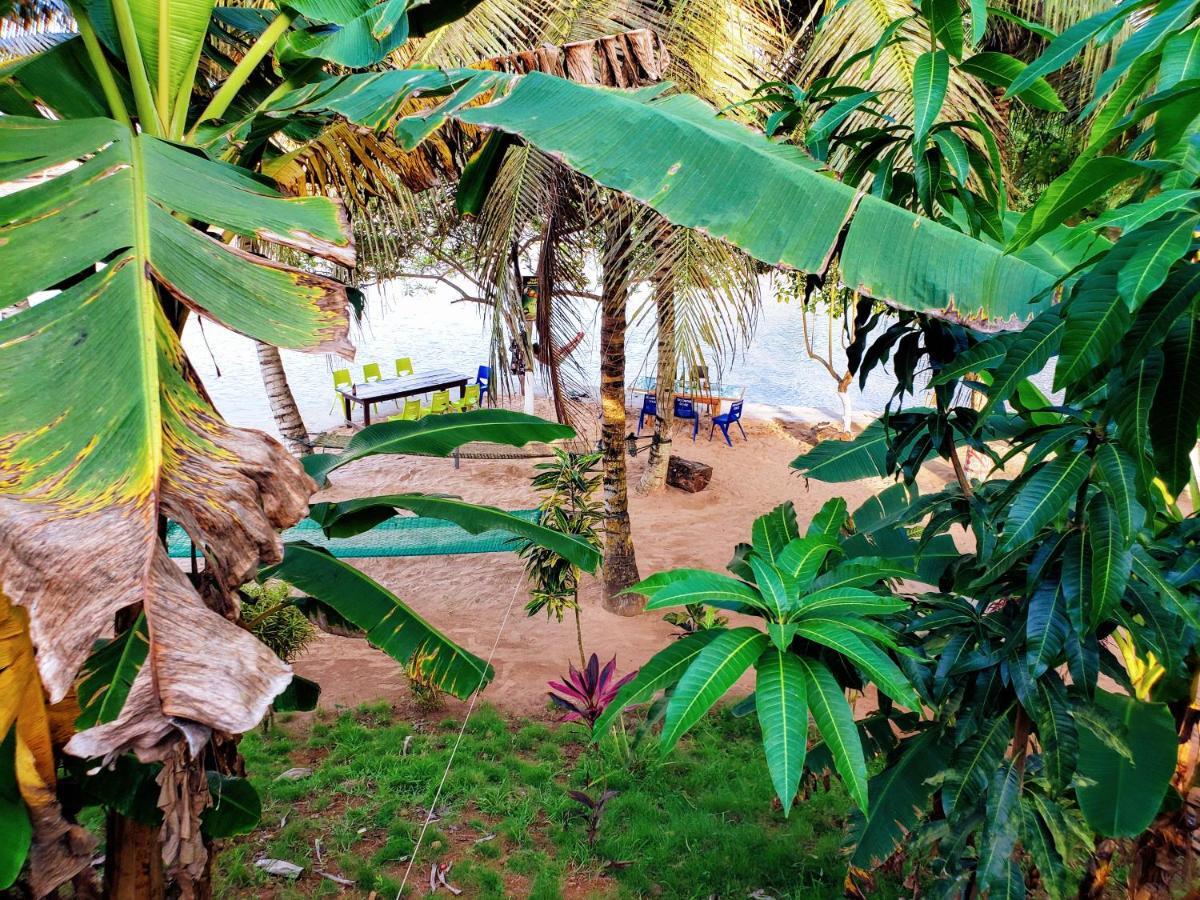 Busua Scorpion Hill Lodge מראה חיצוני תמונה